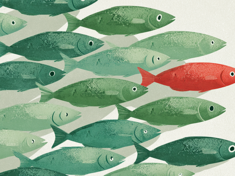 Can We Have Our Fish and Eat It Too?